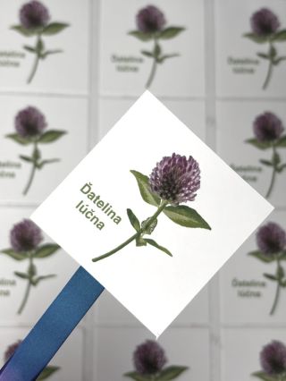 Dnes mi pristála objednávka plná bylinkových nálepiek. 🌿 Podľa presných inštrukcií som ich vytlačila a vyrezala na lesklý...